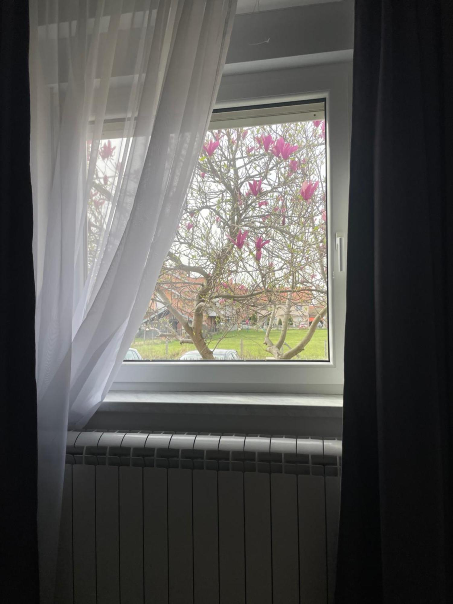 Deluxe Apartment Magnolia 2 Belgrád Kültér fotó